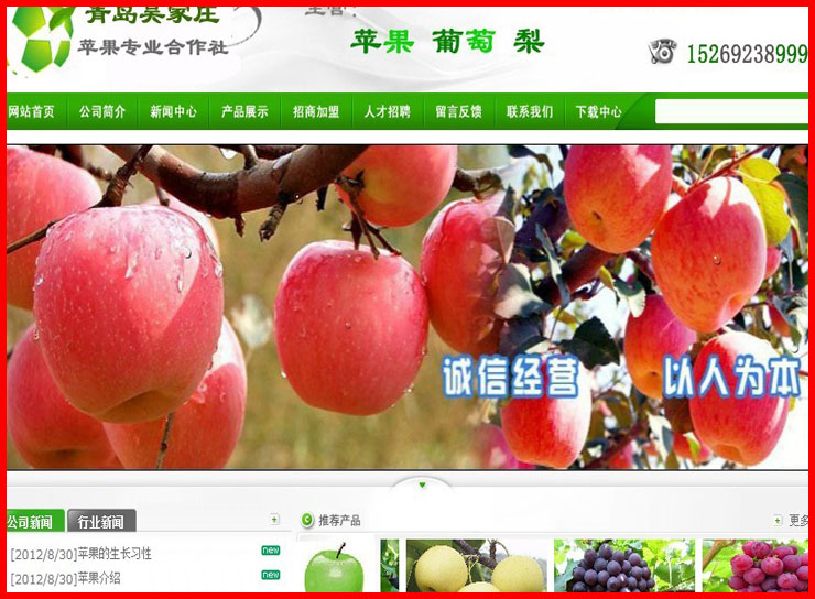 青岛吴家庄苹果合作社案例